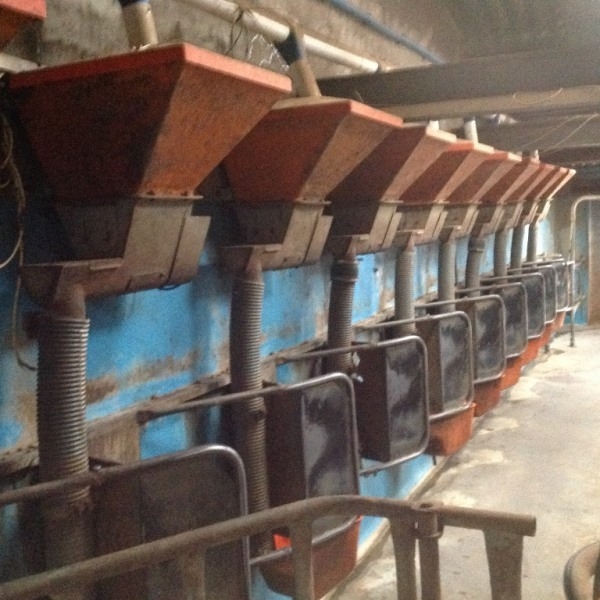 In Parlour Feeding