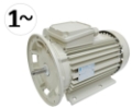 Motor Milchpumpe FP66 1.5kW 220 Volt  Einphasig