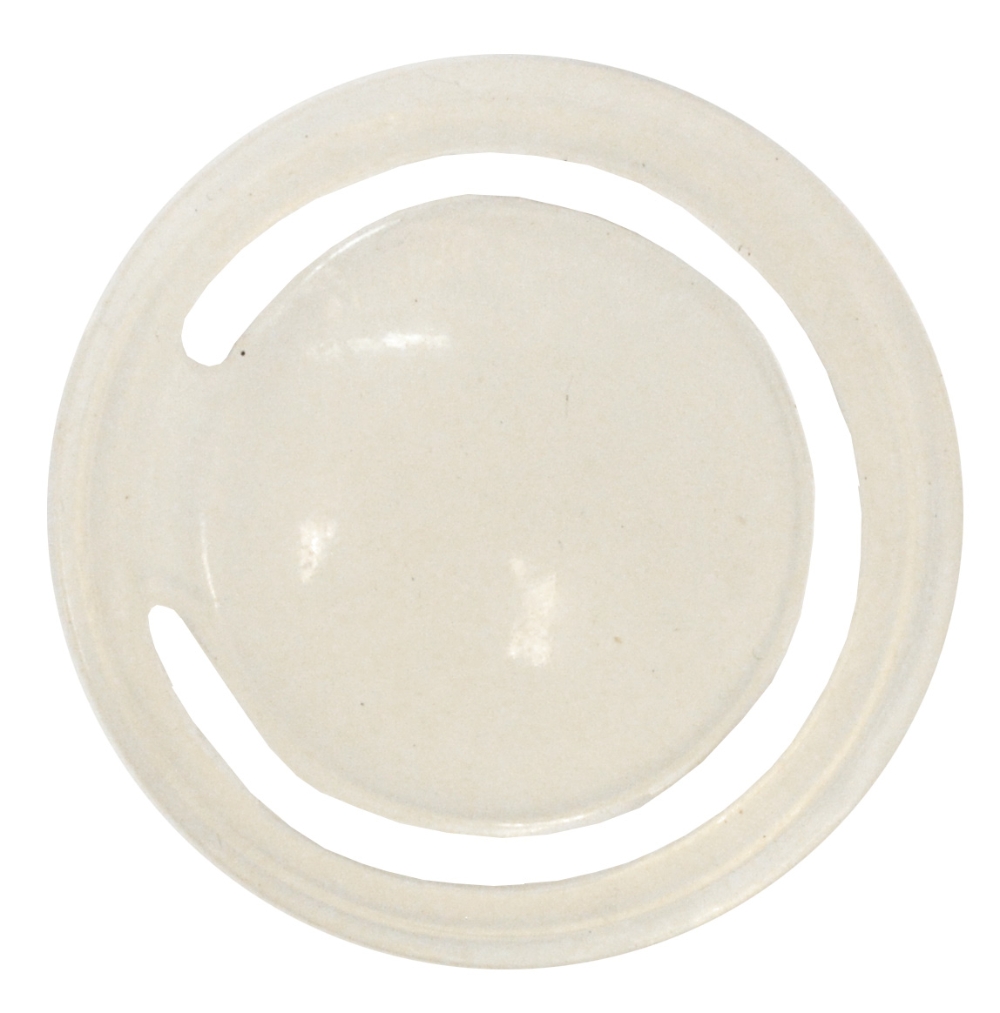 MS Rückschlagventil Milchpump transparent Fullwood