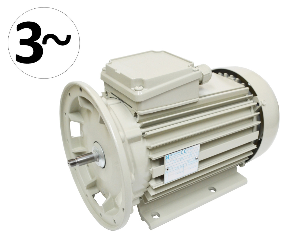 Motor Milchpumpe FP66 1.5kW 240 Volt  Dreiphasig