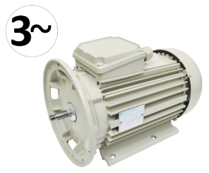 Motor Milchpumpe FP66 1.5kW 240 Volt  Dreiphasig