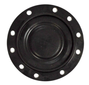 D381662MS_l